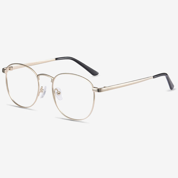 Women's eyeglasses (WE01)