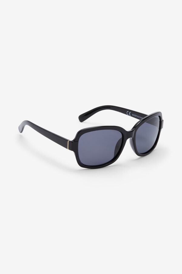 Small Square Polarised Sunglasses