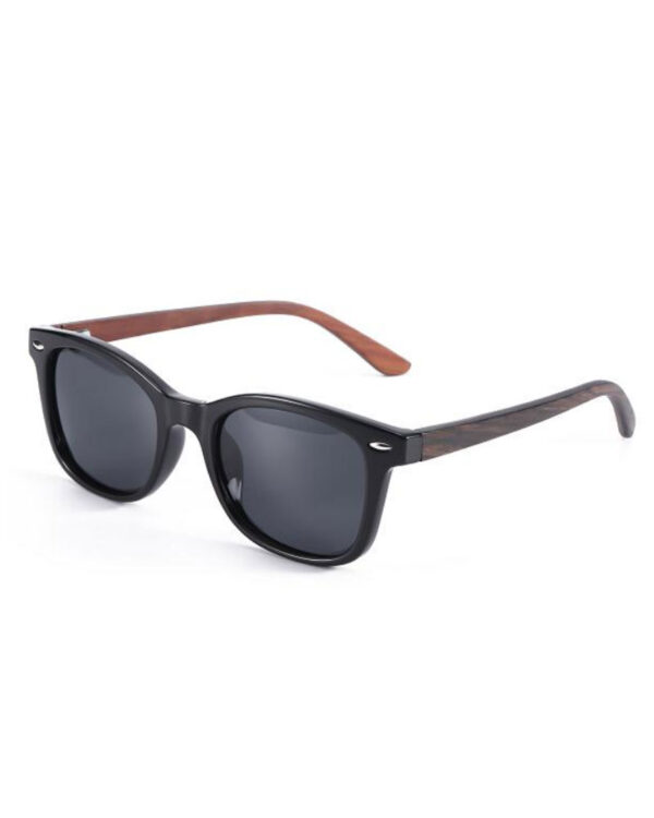 sunglasses 7004